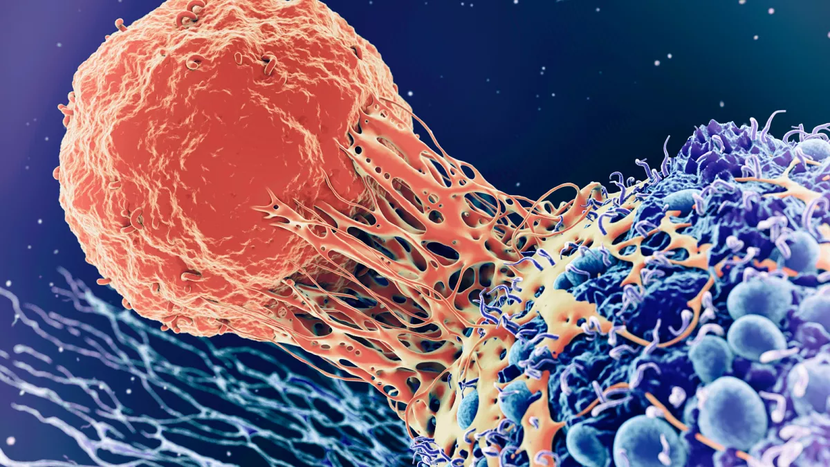 Herbal Cancer Research