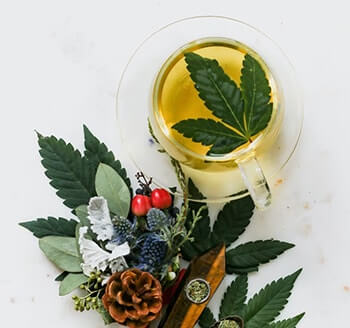 Ayurvedic Treatment for Multiple Myeloma & Leukemia